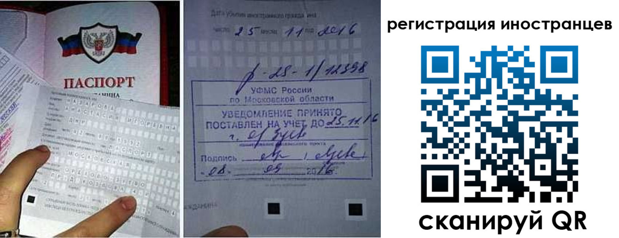 прописка поиск в Новосибирске